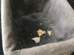 -上海柏悦酒店·世纪100牛排馆