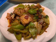 -成都美食巫山烤鱼(三里河路店)