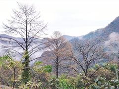 -太湖源风景区