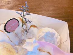 冰淇淋-狐狸和向日葵(北京路店)