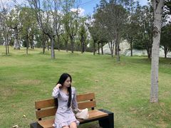 -牛岗山公园