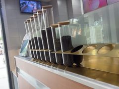 -雾与山茶(大禹城店)