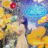 广州必吃海鲜自助餐No.1【Mr.Fish鱼鲜生】