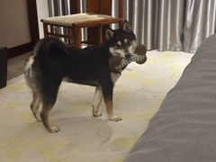 -天目湖御水温泉·度假酒店