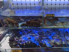 -日照大牌檔•小船海鲜(万平口店)