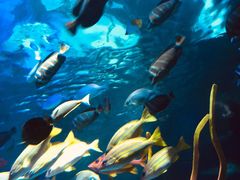 -沈阳海洋探索中心