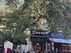 -古树酸奶(八廓南街店)
