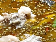 -南山渔美蛙鱼·老鸭汤·火锅(成都大邑店)