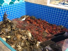 -乔哥铭洋海鲜自助(皇城恒隆广场店)