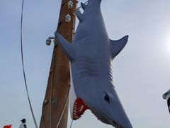 -中华人民共和国水准零点