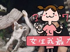 -清迈夜间动物园