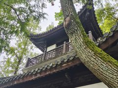 -汇龙潭