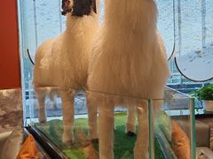 -百草滩羊清水涮羊肉·清真·宁夏盐池滩羊(莲花桥店)