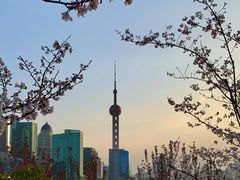 -北外滩滨江绿地