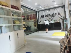 -DEM缔怡美科技美容