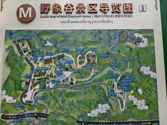 -野象谷景区