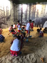 点击看大图 -恐龙探索乐园(磁器口店)