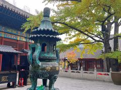 -红螺寺
