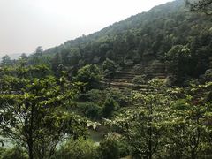 -九龙潭景区