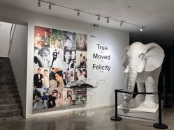 -大象映画旗舰店