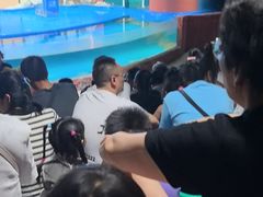 -重庆欢乐海底世界