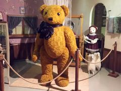 -济州岛泰迪熊博物馆