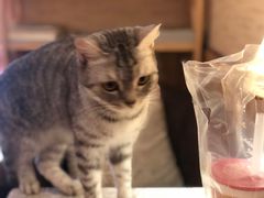 -隅cafe(傅厚岗店)