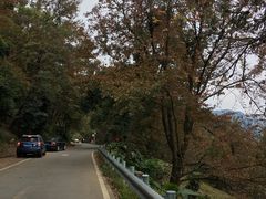 -广州市石门国家森林公园