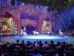 -珠海横琴长隆《卡卡虎奇遇记》