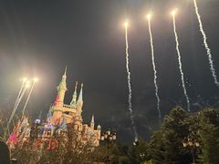 -桃城度假村-停车场