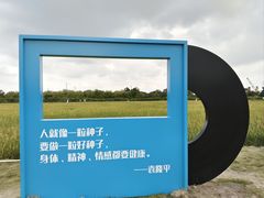 -长洲岛