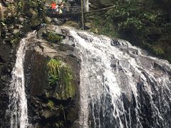 -藏龙百瀑风景区