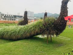 -光明小镇欢乐田园