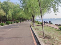 -丁香湖公园