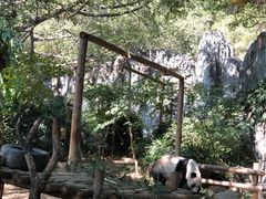 -深圳野生动物园