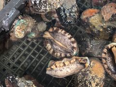 -江杨农产品批发市场