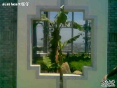 -同济大学(嘉定校区)