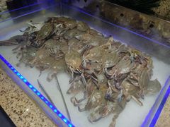 -和谐号(全运路万达店)