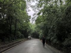 -大蜀山国家森林公园