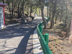 -白水寺森林公园
