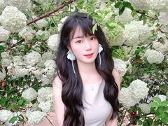 -大龙山(地铁站)