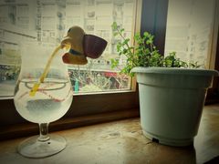 靠窗位-雕刻时光咖啡馆(南院门店)