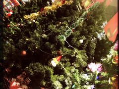 -麦德龙(湖里店)