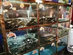 -三道苗苗鱼·美蛙黄辣丁(八里店)