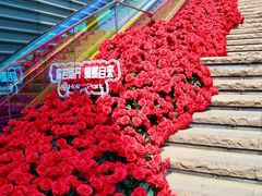-万科生活广场(东莞松山湖店)