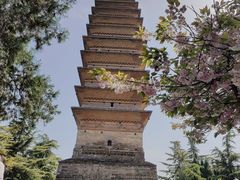 -洛阳白马寺