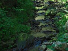 -素山寺森林公园