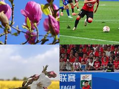 -上海体育场