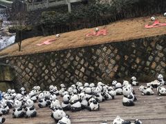 -大明山自然探索公园