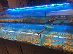 -太湖饭店玉兰厅(自助餐厅)